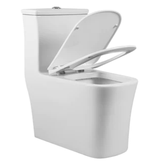 Lincoln One-Piece Dual-Flush Elongated Toilet