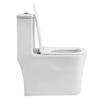 Lincoln One-Piece Dual-Flush Elongated Toilet