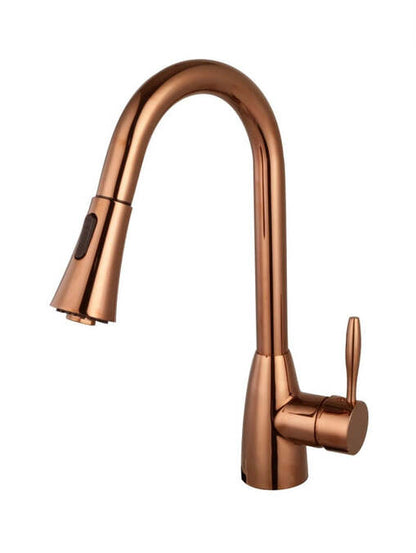 Calithea Pull-Out Kitchen Faucet - Metal Sprayer