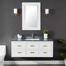 Load image into Gallery viewer, Ralph 48&quot; Wall Mounted Vanity
