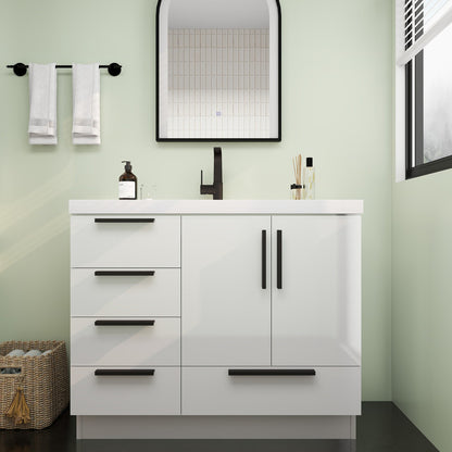 Carla 42" Freestanding Bathroom Vanity with Acrylic Sink Top