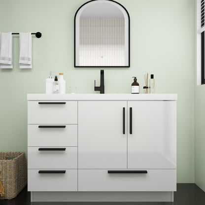 Carla 48" Freestanding Bathroom Vanity with Acrylic Sink Top