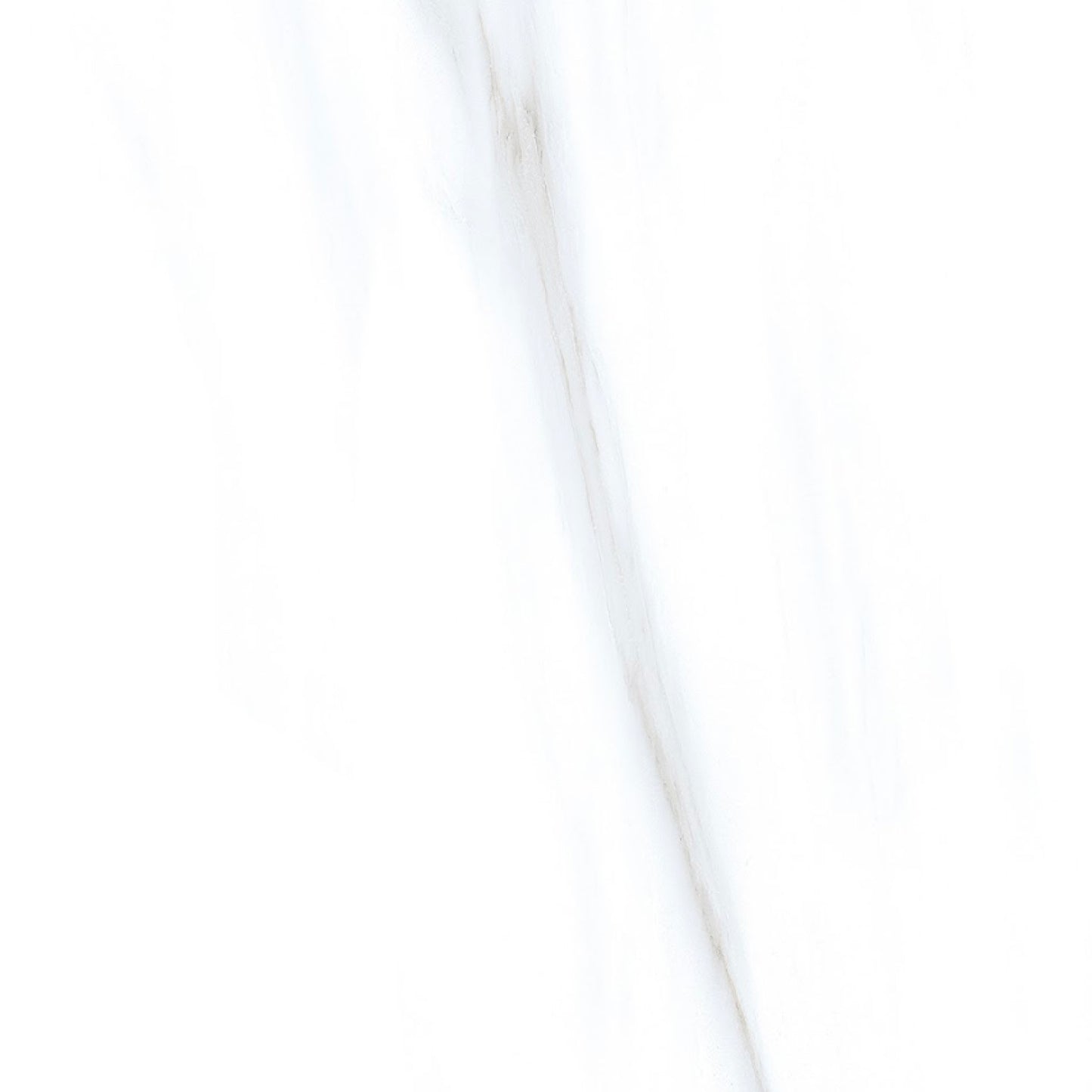 Marmol Calacatta Extra Porcelain Tile