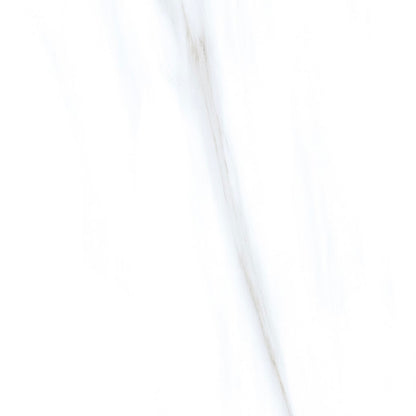 Marmol Calacatta Extra Porcelain Tile