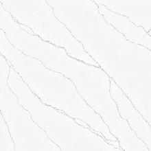 Load image into Gallery viewer, Carrara Gold Quartz
