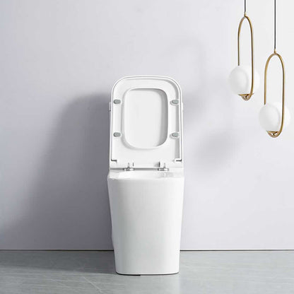 Clarence One-Piece Dual-Flush Toilet