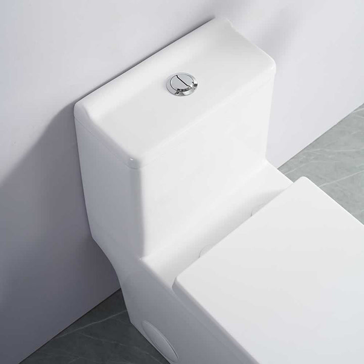 Fionn One-Piece Dual-Flush Toilet