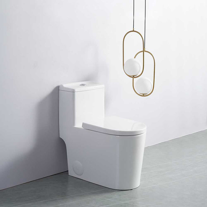 Fionn One-Piece Dual-Flush Toilet