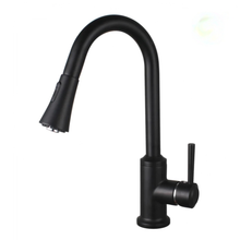 Load image into Gallery viewer, Viviana Pull-Out Kitchen Faucet - Metal Sprayer
