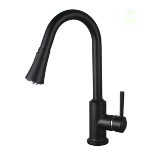 Viviana Pull-Out Kitchen Faucet - Metal Sprayer