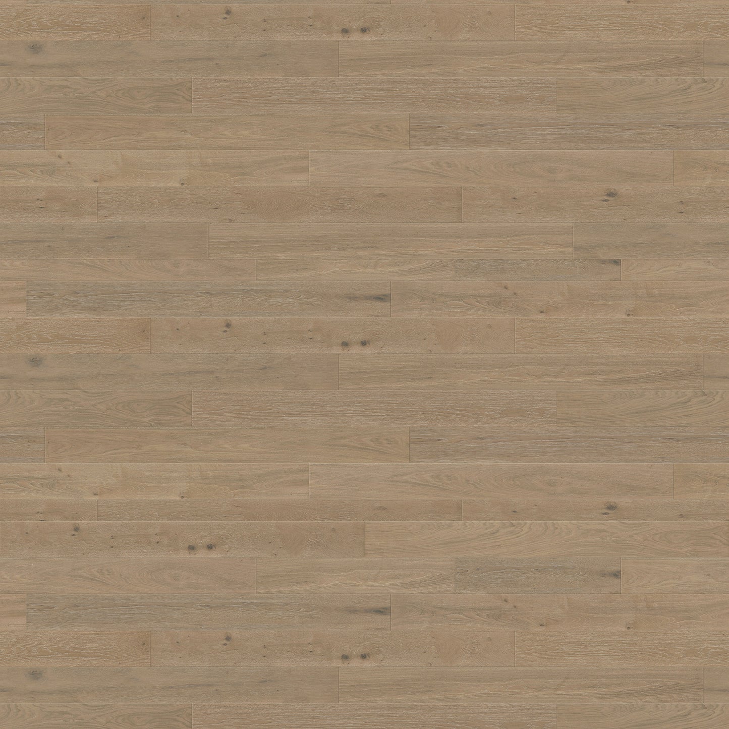 Ravenna Garibaldi Engineered Wood Flooring