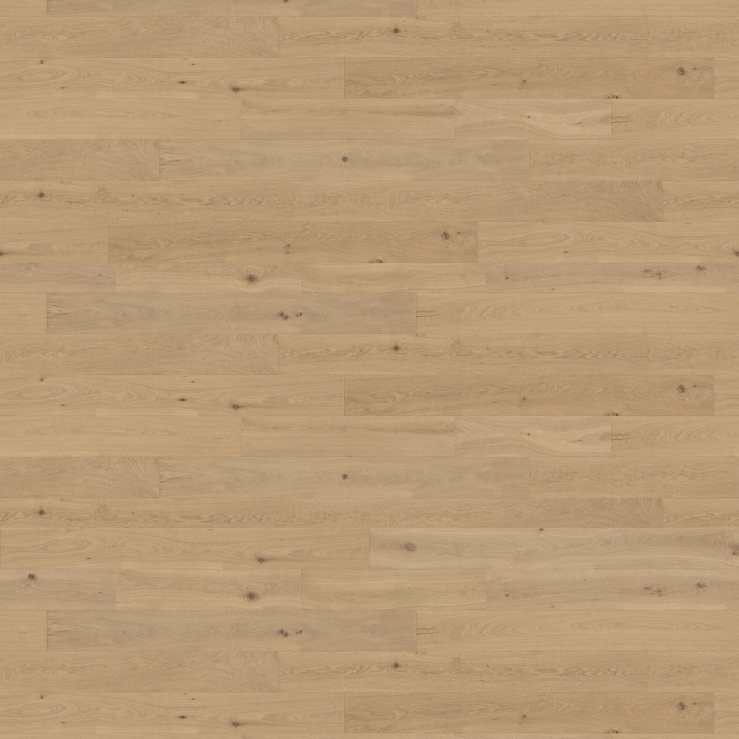 Ravenna Bellini Engineered Wood Flooring