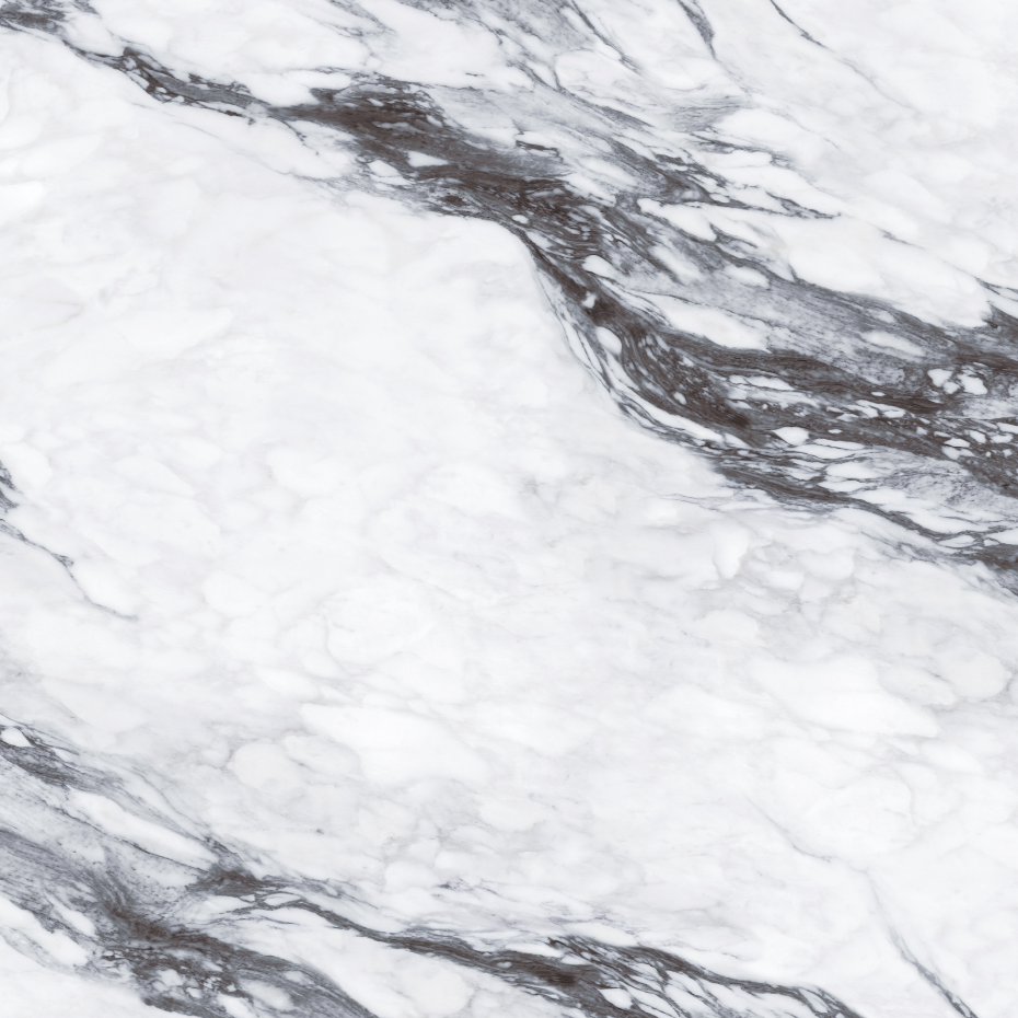 Noir Feathers Printed Surface Quartz Slab