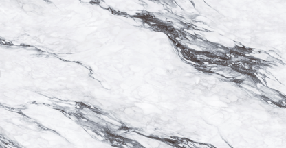 Noir Feathers Printed Surface Quartz Slab
