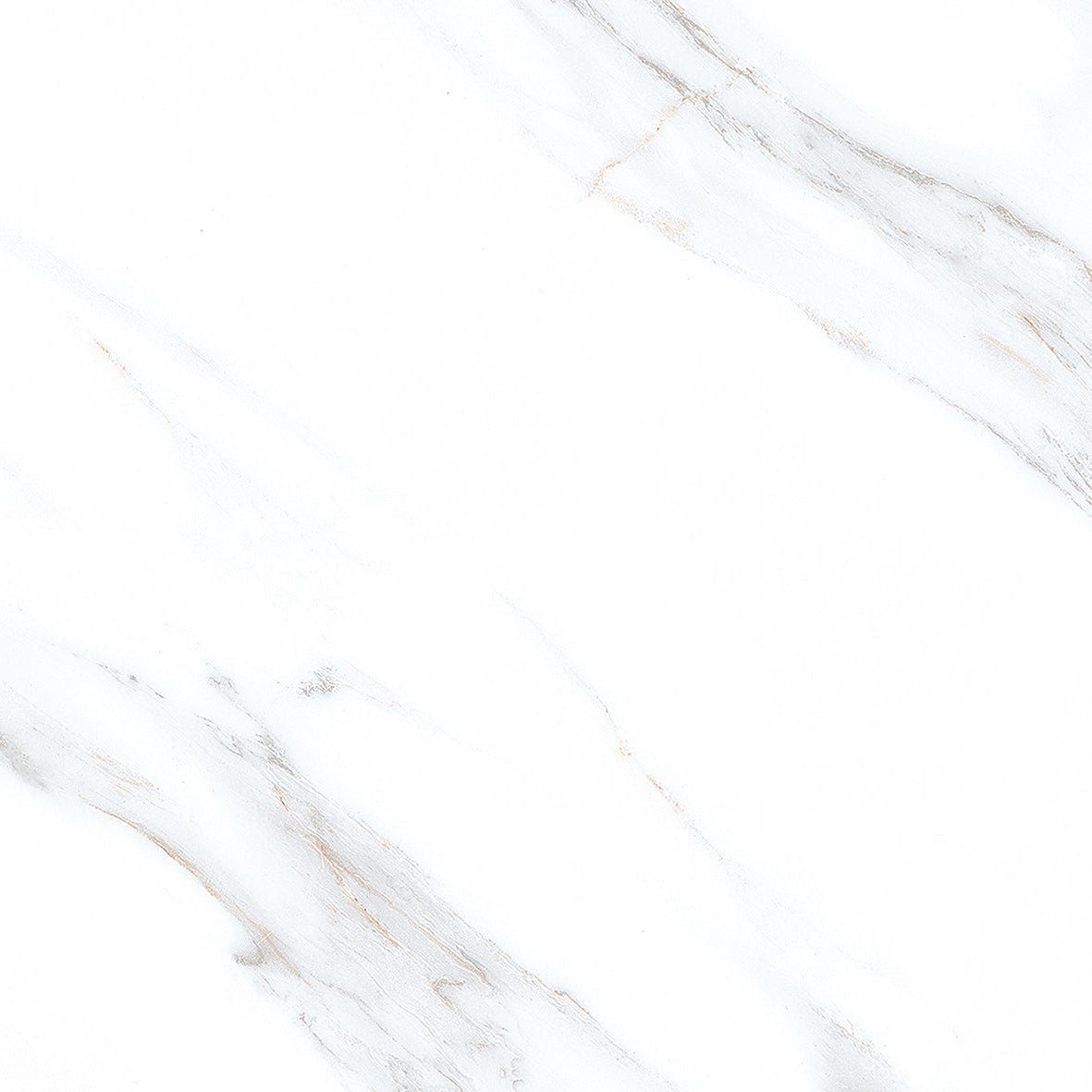 Marmol White Lotus Porcelain Tile