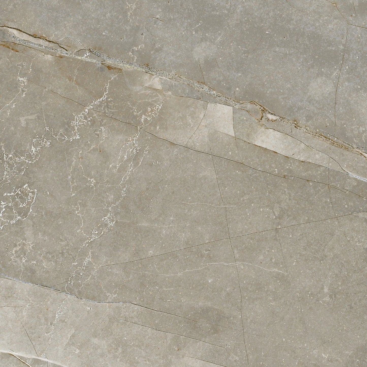 Odin Hoor Porcelain Tile