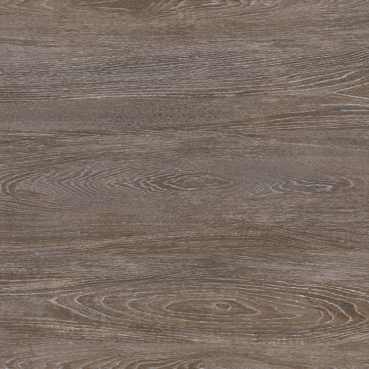 Resort Mt. High Porcelain Tile