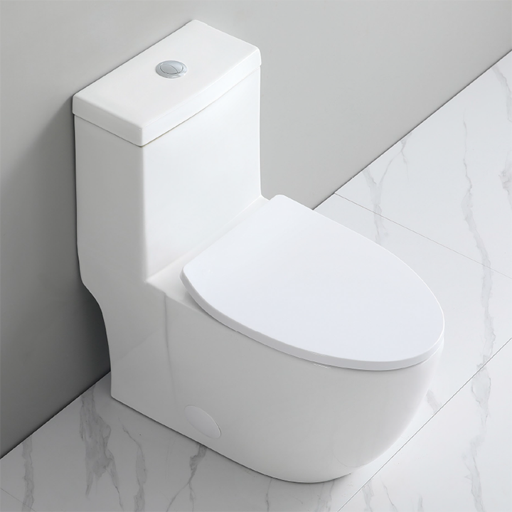 Casimir One-Piece Dual-Flush Toilet