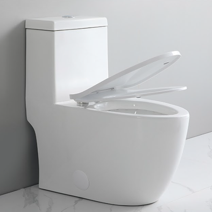 Casimir One-Piece Dual-Flush Toilet