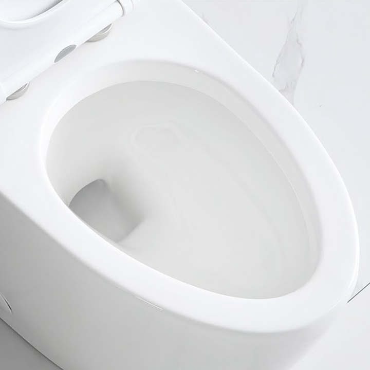 Casimir One-Piece Dual-Flush Toilet