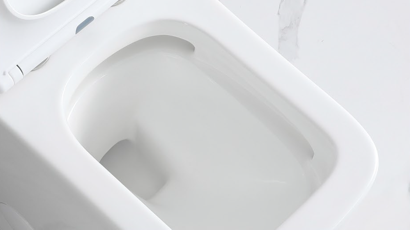 Clarence One-Piece Dual-Flush Toilet