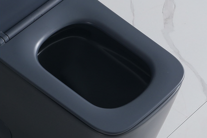 Clarence One-Piece Dual-Flush Toilet