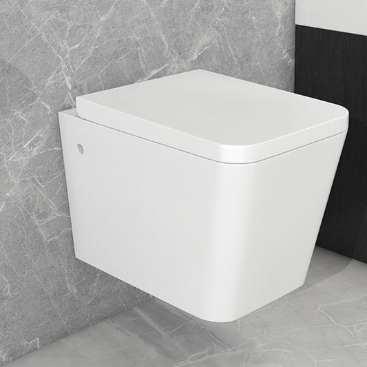 Saar Wall-Mounted Toilet