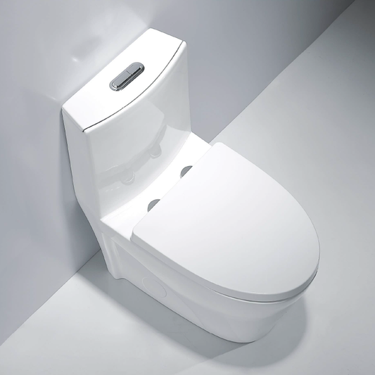 Hudson One-Piece Dual-Flush Toilet