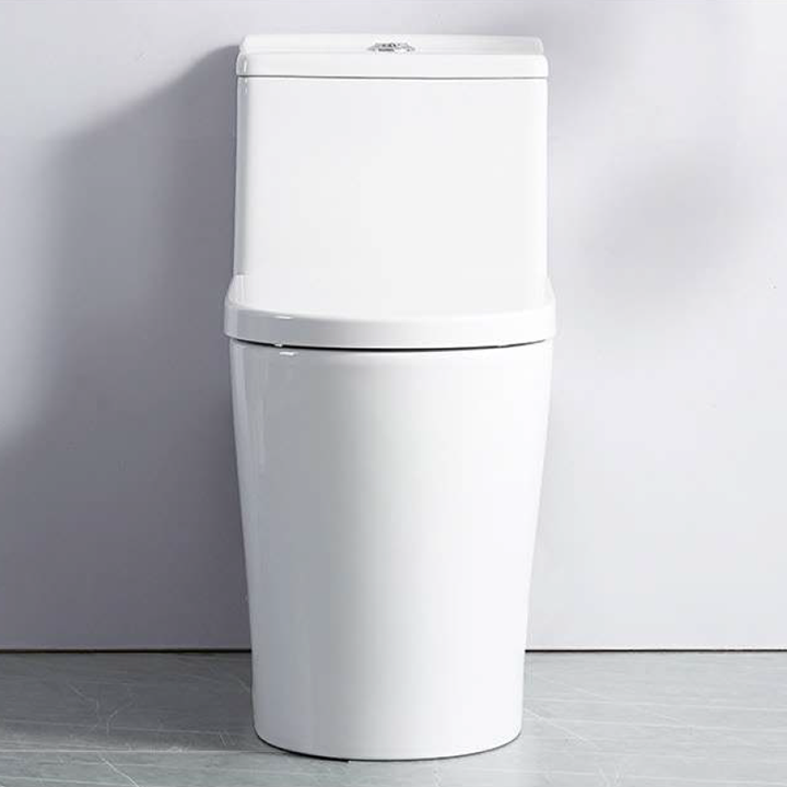 Fionn One-Piece Dual-Flush Toilet