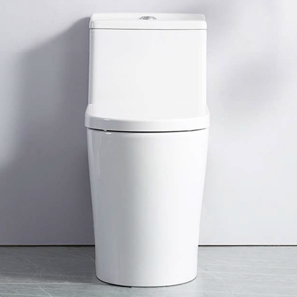 Fionn One-Piece Dual-Flush Toilet