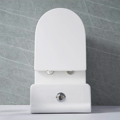 Fionn One-Piece Dual-Flush Toilet