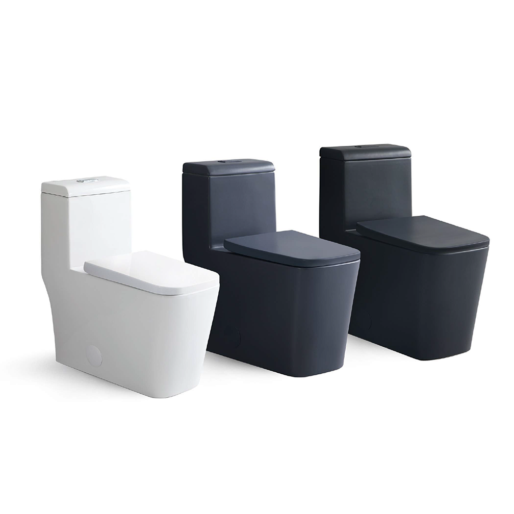 Clarence One-Piece Dual-Flush Toilet