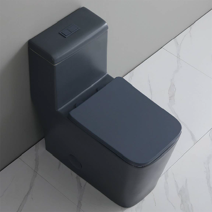 Clarence One-Piece Dual-Flush Toilet