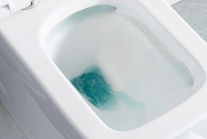 Clarence One-Piece Dual-Flush Toilet