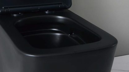 Clarence One-Piece Dual-Flush Toilet