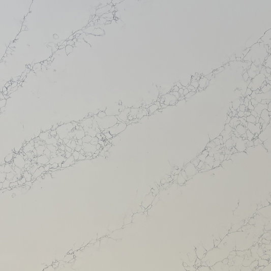 Silver Birch Quartz Slab
