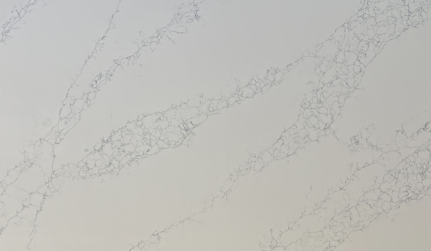 Silver Birch Quartz Slab