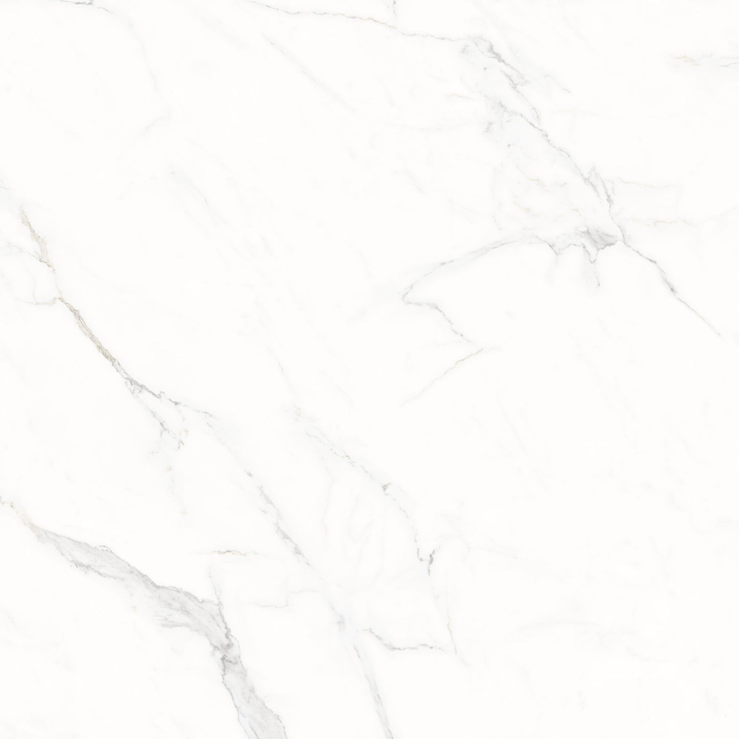 Marbleize Sintered Stone Pavers