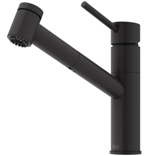 Branson Kitchen Faucet