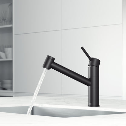 Branson Kitchen Faucet