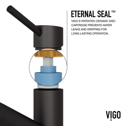 Branson Kitchen Faucet