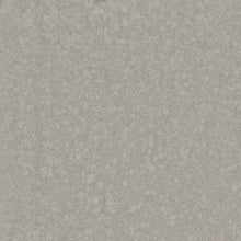 Load image into Gallery viewer, Argos Grey Quartz
