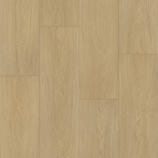 Carmel Beach waterproof SPC vinyl plank flooring, EIR texture, beveled 60 by 9 inch planks, matte wood look