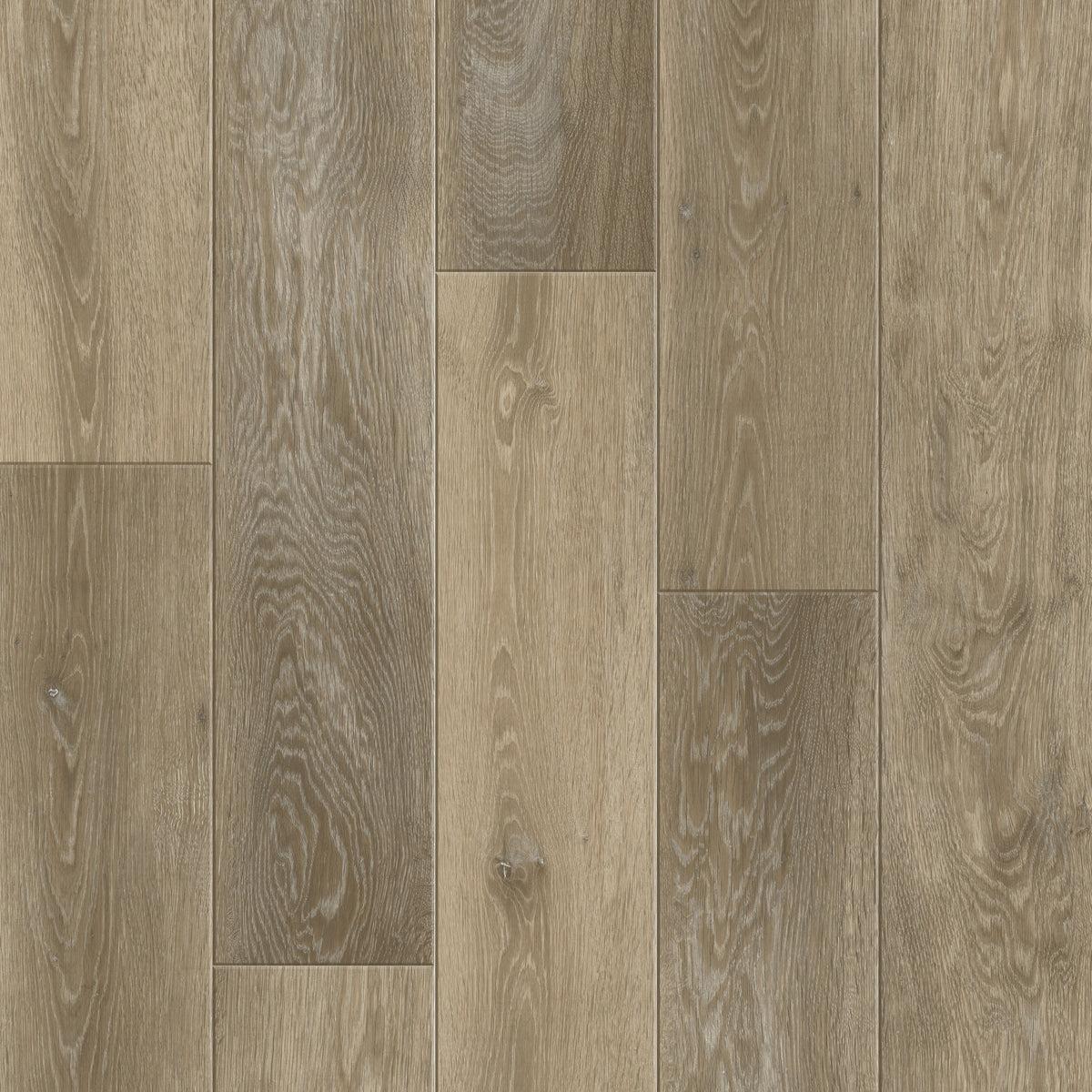 6169-1 LVP Glue Down Flooring Sample