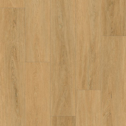 Natural Plus Sequoia waterproof SPC vinyl plank flooring, EIR texture, beveled 60 by 9 inch planks