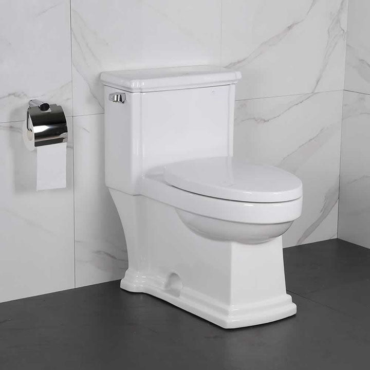 Ambrose one-piece toilet in vitreous china
