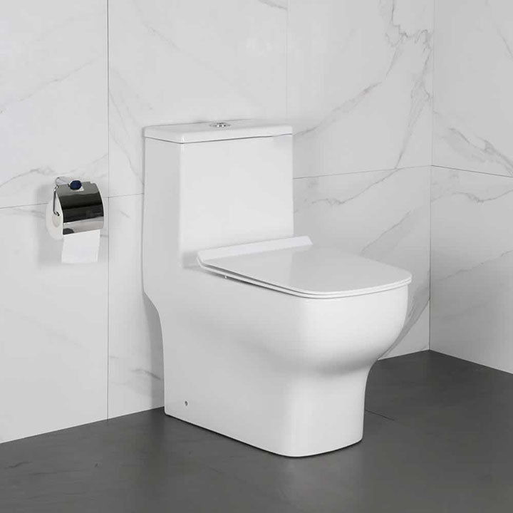 Benedict one-piece dual-flush toilet in vitreous china