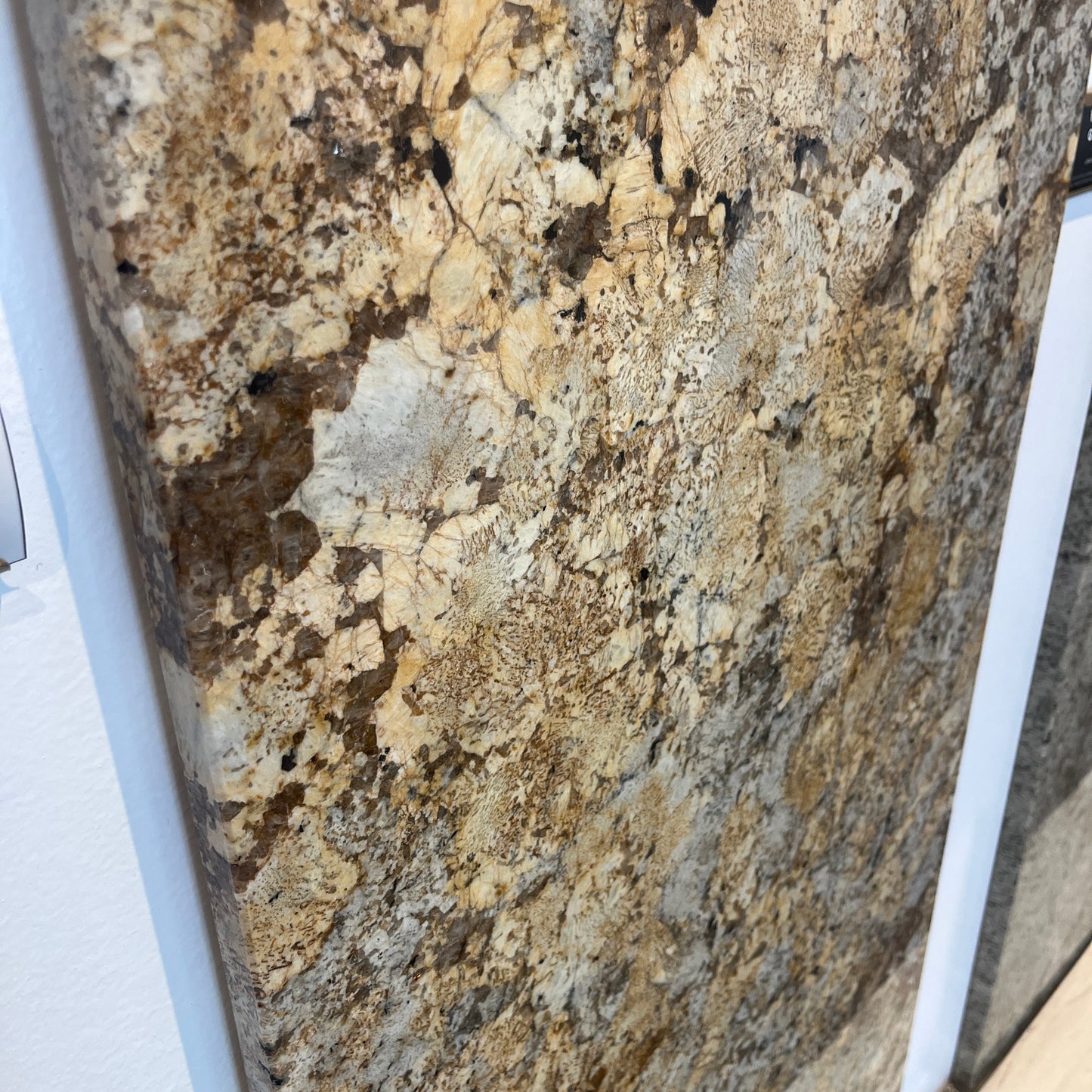 BCS-African Persa Granite Slab