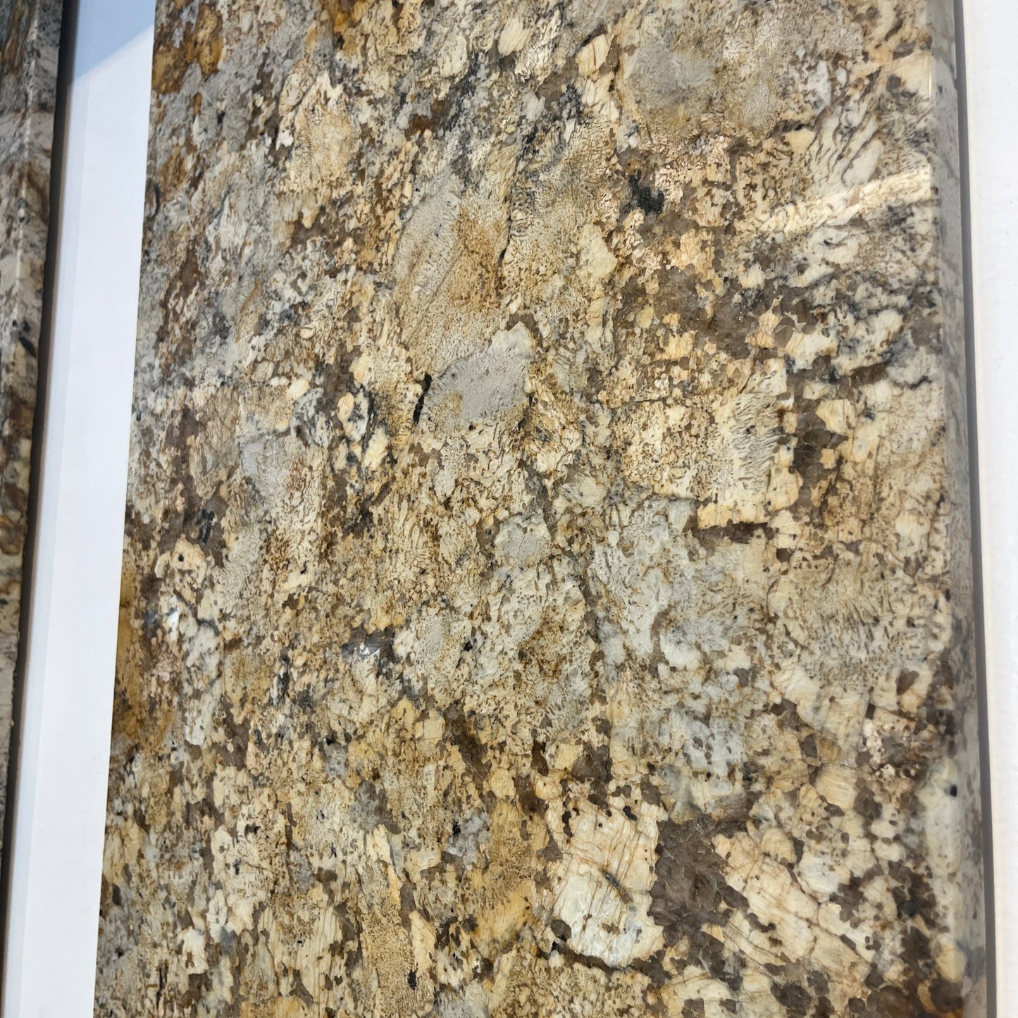 BCS-African Persa Granite Slab
