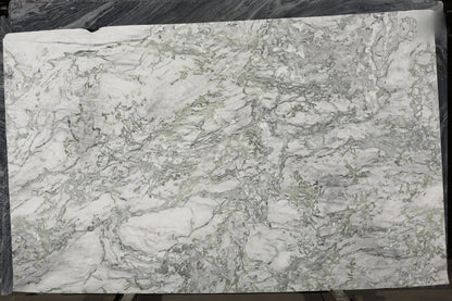 BCS-Bianco Palomino African Quartzite Slab